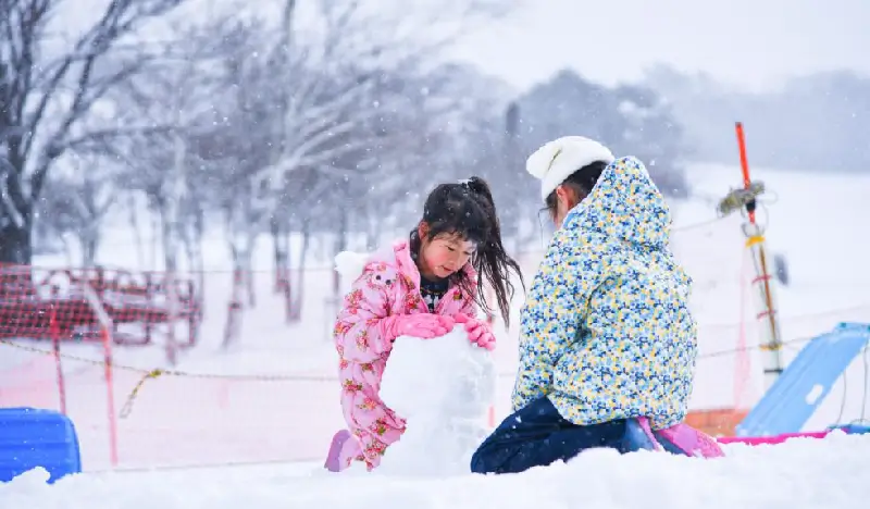 Hirugano Kogen Ski Resort: 1 Day Shuttle Bus Package from Nagoya (with Optional Lift Pass/Equipment/Clothes Rental) - view 2