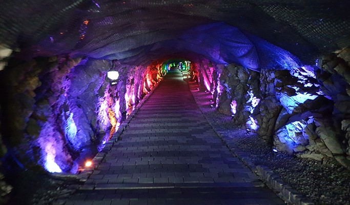 Spring Special: Ho-Am Museum Cherry Blossom Road + Gwangmyeong Cave + Ice Cream Making Experience 1 Day Tour - from Seoul (Apr 1~30)