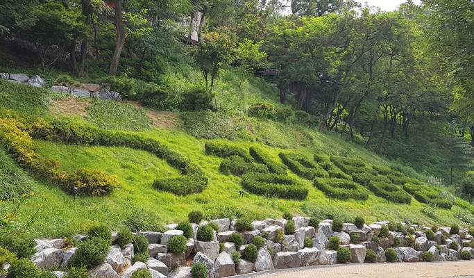 Spring Special: Ho-Am Museum Cherry Blossom Road + Gwangmyeong Cave + Ice Cream Making Experience 1 Day Tour - from Seoul (Apr 1~30)