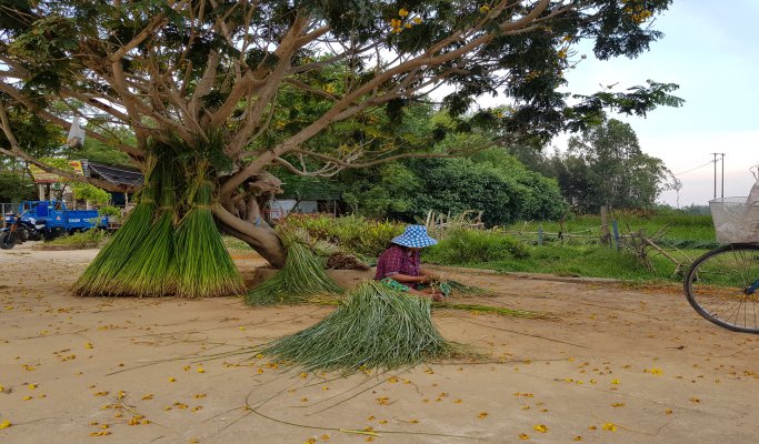 Hoi An Eco Life Tour - Discover Hoi An Countryside by Bike & Boat (Half Day)