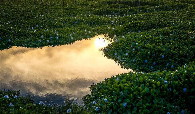 Hoi An Sunrise/Sunset Tour with Photographer (Half Day)