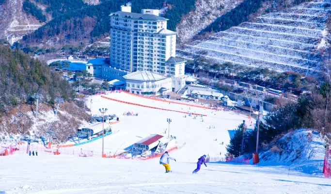 Elysian Gangchon Ski Resort (Ski/Snow Sled) + Eobi Ice Valley + Strawberry Picking 1 Day Tour from Seoul