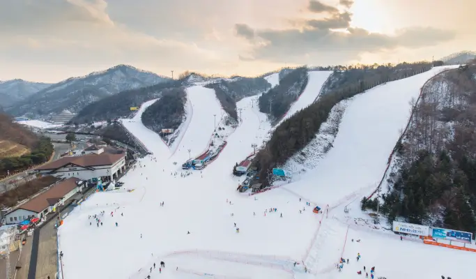 Elysian Gangchon Ski Resort 1 Day Ski/Snowboard/Snow Sled Tour from Seoul (with All-inclusive option)