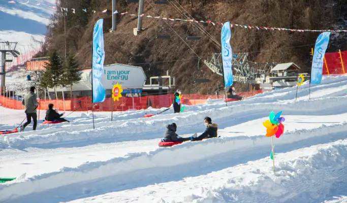 Elysian Gangchon Ski Resort 1 Day Ski/Snowboard/Snow Sled Tour from Seoul (with All-inclusive option)