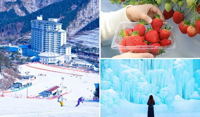 Elysian Gangchon Ski Resort (Ski/Snow Sled) + Eobi Ice Valley + Strawberry Picking 1 Day Tour from Seoul
