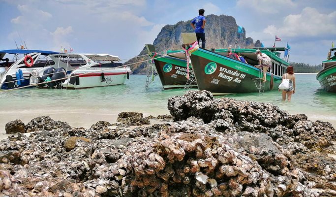 Hong Island 1 Day Tour by Speed Boat (+Lunch/Snorkeling) - from Krabi