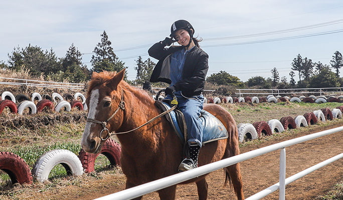 済州島の丘陵で乗馬