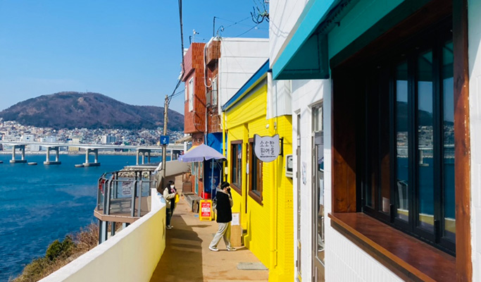 Spring Special: Busan Yeongdo Island Cherry Blossom Tour - from Busan (Mar 25~Apr 10)
