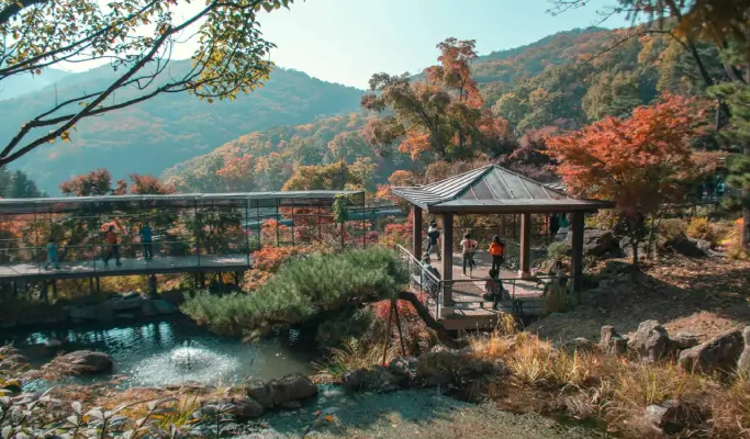 Hwadam Botanic Garden Shuttle Bus & Admission Ticket Package - from Seoul