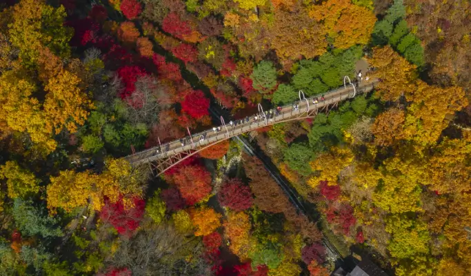 Hwadam Botanic Garden Shuttle Bus & Admission Ticket Package - from Seoul