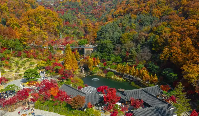 Hwadam Botanic Garden Shuttle Bus & Admission Ticket Package - from Seoul