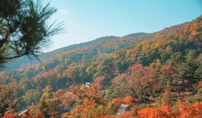 Hwadam Botanic Garden Shuttle Bus & Admission Ticket Package - from Seoul