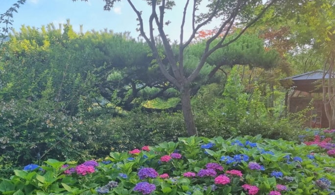 花潭植物園 + 南漢山城 + 韓国民俗村 1 日ツアー - ソウル発