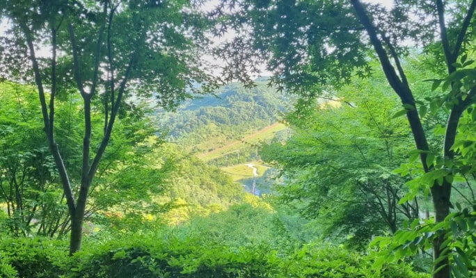花潭植物園 + 南漢山城 + 韓国民俗村 1 日ツアー - ソウル発