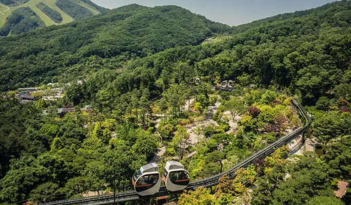 Hwadam Botanic Garden Shuttle Bus & Admission Ticket Package - from Seoul