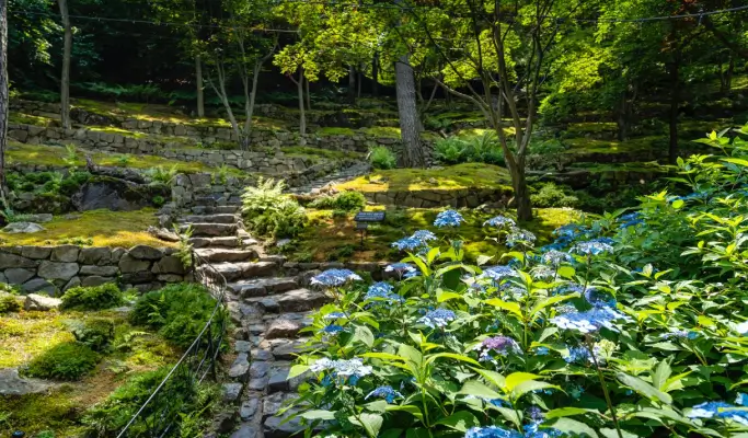 Hwadam Botanic Garden Shuttle Bus & Admission Ticket Package - from Seoul