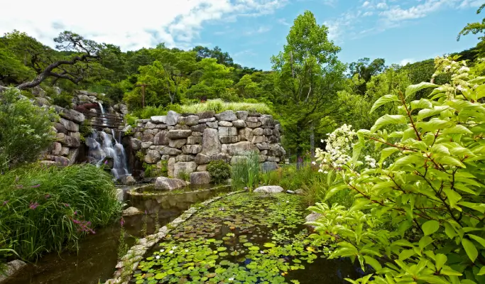 Hwadam Botanic Garden Shuttle Bus & Admission Ticket Package - from Seoul