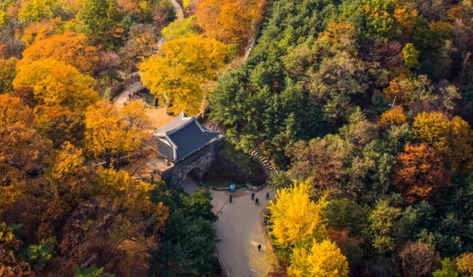 花潭植物園 + 南漢山城 + 韓国民俗村 1 日ツアー - ソウル発