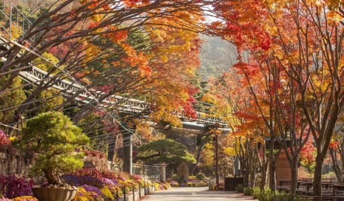 花潭植物園 + 南漢山城 + 韓国民俗村 1 日ツアー - ソウル発