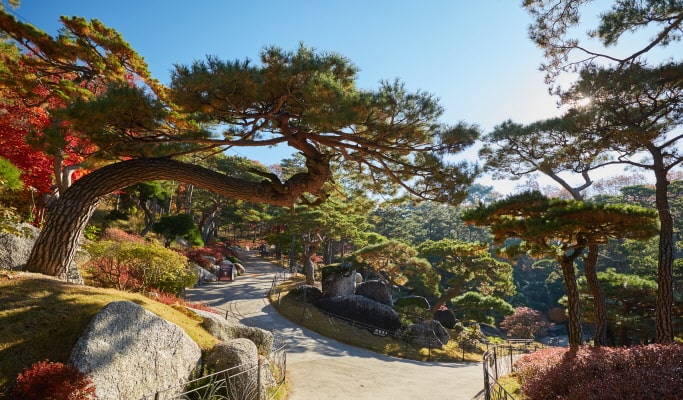 和談植物園+南怡島+江村鐵路自行車1日遊（首爾出發）（3月29日~9月30日）