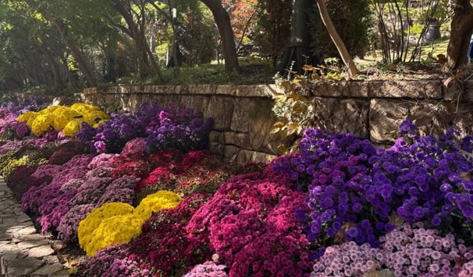 Hwadam Botanic Garden Shuttle Bus & Admission Ticket Package - from Seoul