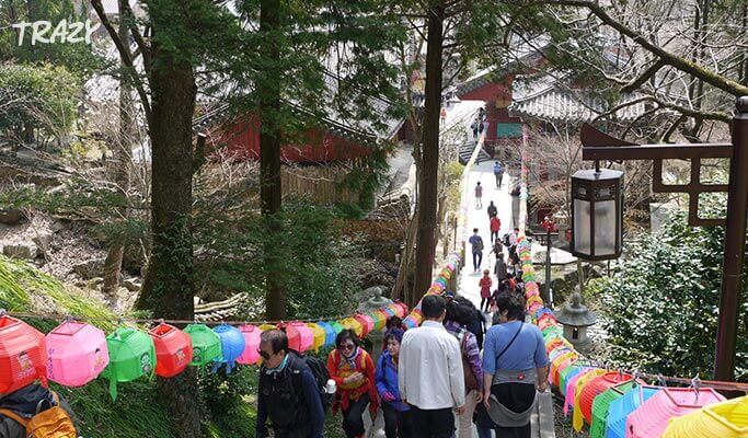 Spring Special: Hwagae Cherry Blossom Festival 2019 & Ssanggyesa Temple Shuttle Bus Package (Mar 23~Apr 14)