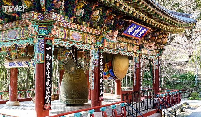 Spring Special: Hwagae Cherry Blossom Festival 2019 & Ssanggyesa Temple Shuttle Bus Package (Mar 23~Apr 14)