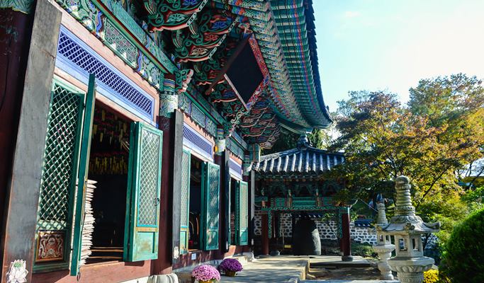 Spring Special: Hwangmaesan Mountain Royal Azalea Festival 1 Day Tour - from Busan (May 1~9)