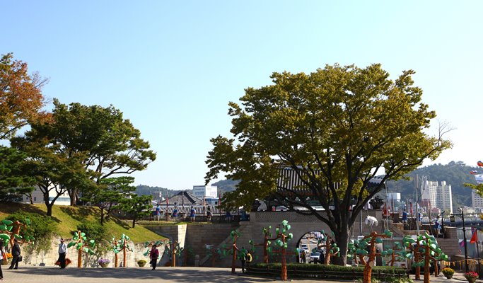 Spring Special: Hwangmaesan Mountain Royal Azalea Festival 1 Day Tour - from Busan (May 1~9)