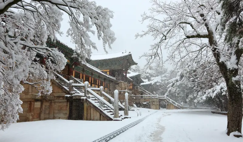 [Winter Special] Gyeongju/ Daegu/ Pohang 1 Day Tour - from Busan (Dec 10~Mar 1) - view 1