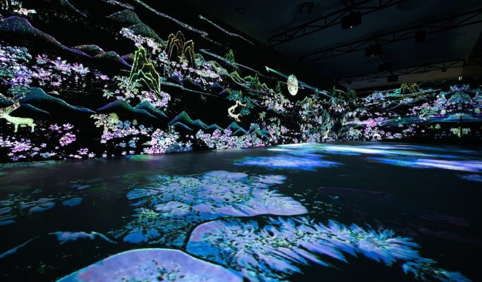 Immersive-K： 澗松美術館メディアアート展 割引チケット