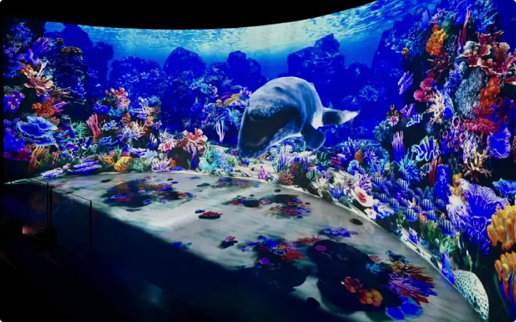 Mystery underworld experienec at INART Yongpyong