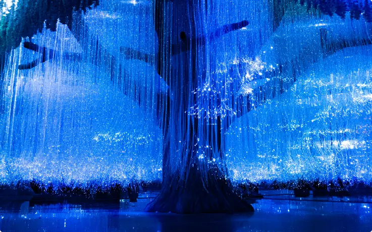 Fascnating immersive exhibition at INART Yongpyong