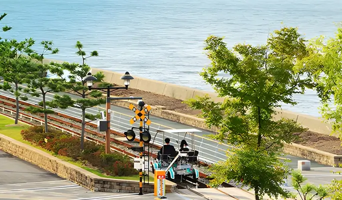 Incheon 1 Day Tour from Seoul: Luge + Seaside Railbike + Ferry with Seagull Feeding