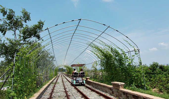 Incheon 1 Day Early Autumn/Late Autumn Foliage Tour (+Railbike/Ferry Ride) (~Nov 18)