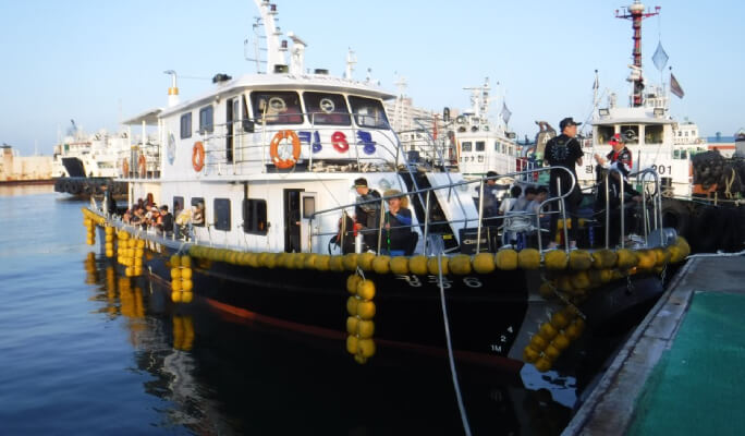 Boat Fishing in Incheon