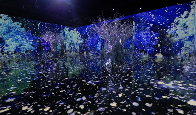 済州アイバガーデン メディアアート展示館割引チケット