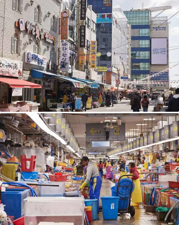Bustling seafood market in Busan with fresh fish displays and lively vendors.
