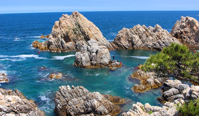 Summer Beach Fun: Crystal Clear Jangho Beach 1 Day Tour (+ Canoeing option) (~Aug)