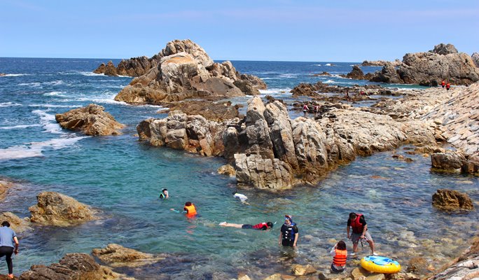 Summer Beach Fun: Crystal Clear Jangho Beach 1 Day Tour (+ Canoeing option) (~Aug)