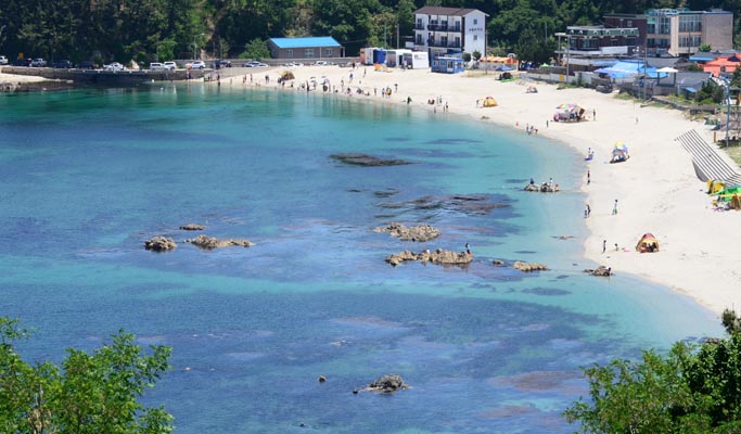 Summer Beach Fun: Crystal Clear Jangho Beach 1 Day Tour (+ Canoeing option) (~Aug)
