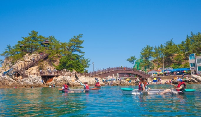 Summer Beach Fun: Crystal Clear Jangho Beach 1 Day Tour (+ Canoeing option) (~Aug)