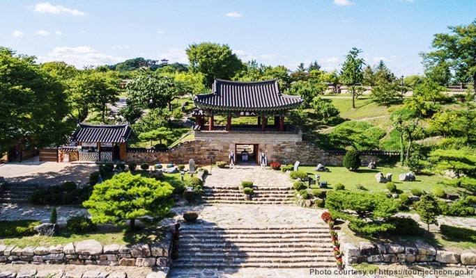 Spring Special: Jecheon Cheongpungho Cherry Blossom Festival 1 Day Tour (Apr 6~21)