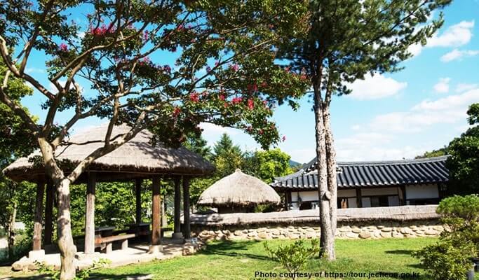 Spring Special: Jecheon Cheongpungho Cherry Blossom Festival 1 Day Tour (Apr 6~21)