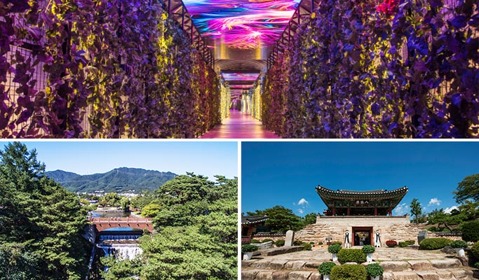 Online Virtual Tour with Live Commentary from Local Tour Guide - Jecheon & Danyang