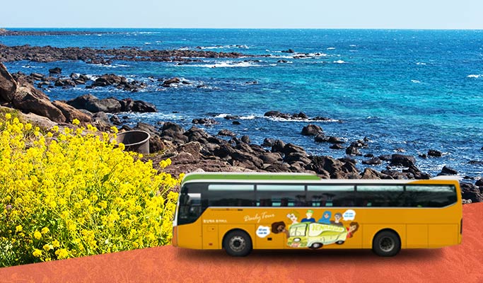 jeju bus tour