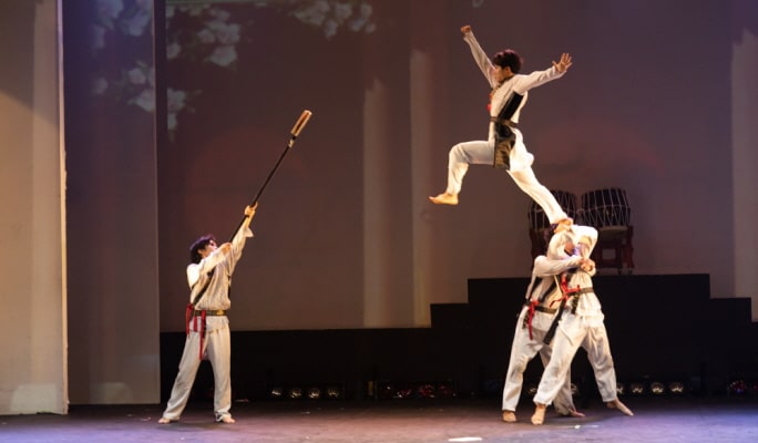 済州・西帰浦の「アリラン・ホン・テコンドー武術ショー」割引チケット