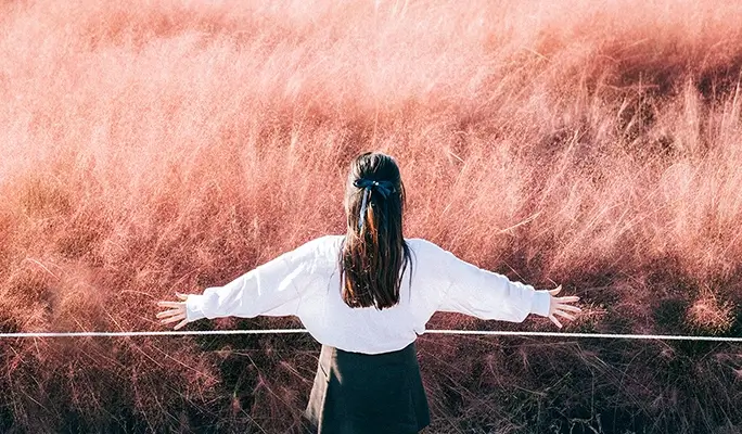 [Autumn Foliage] Jeju Pink Muhly 1 Day Tour (Sept 19~Oct 19)