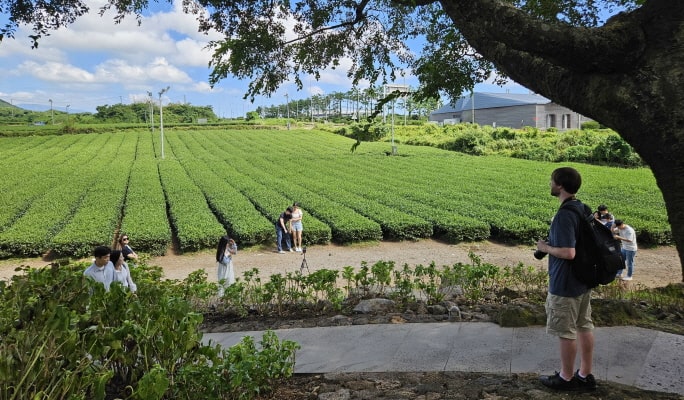 Jeju 1 Day Bus Tour Package (East/Southwest & Hallasan)