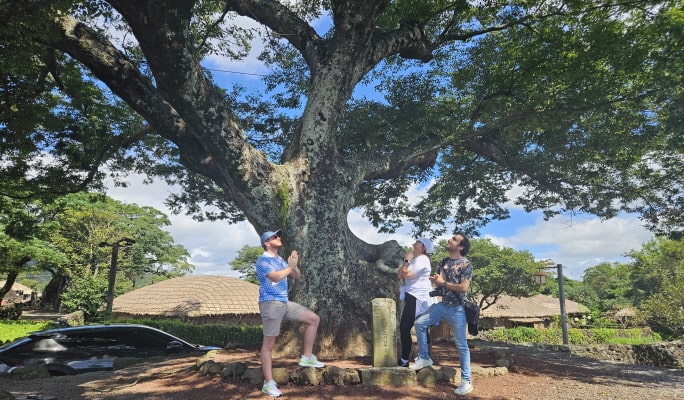 Jeju 1 Day Bus Tour Package (East/Southwest & Hallasan)